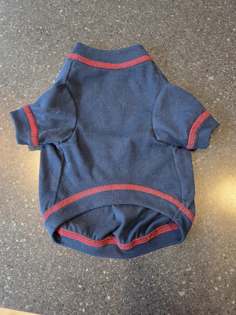 Lot Of 4 Small Dog Clothing